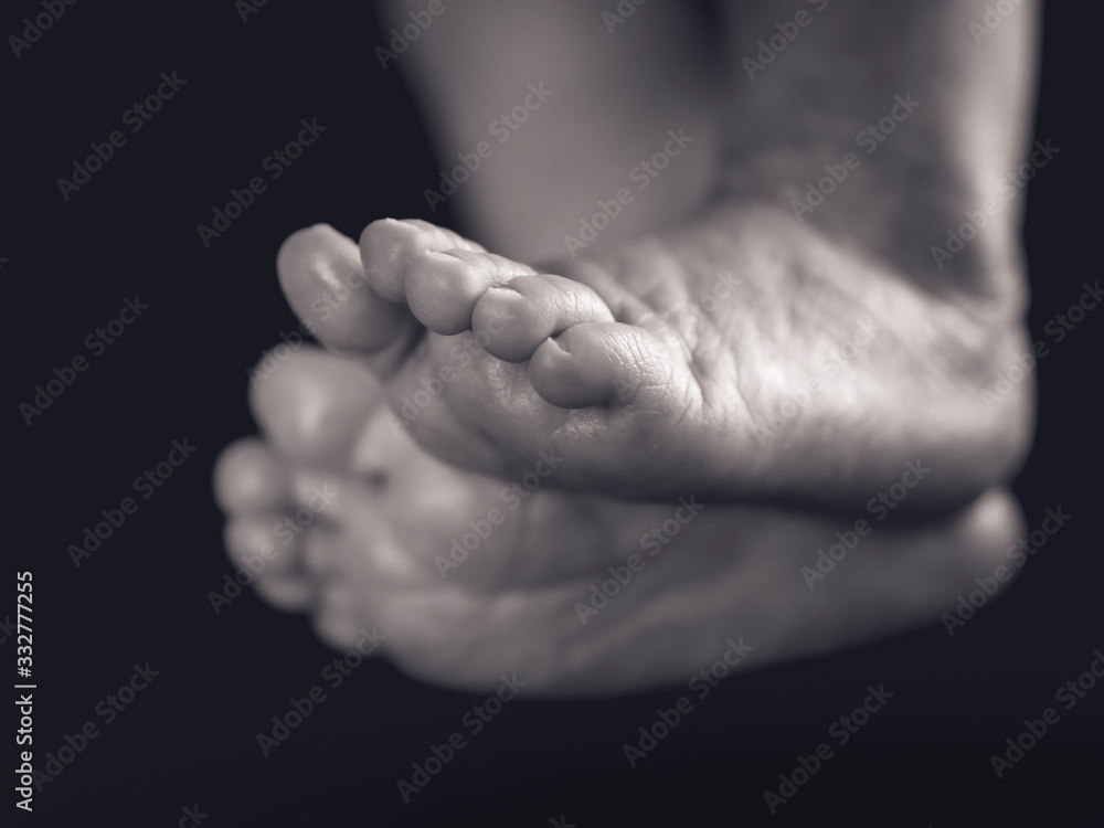 Fototapeta premium Les petits pieds