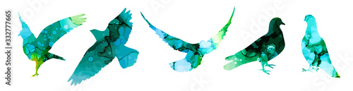 A set of silhouettes of pigeons. Mixed media. Vector illustration