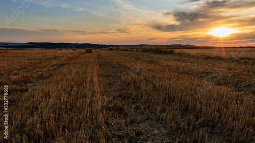 harvested agricultural field with hay bales at golden sunset sky in M  ckm  hl  Germany