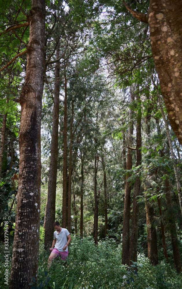 Caucasian men walking and exploring a trek trail in a forest Caucasian men walking and exploring a trek trail in a forest