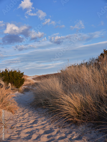 New Jersey s Island Beach State Park shows its true beauty in this dusk image of one of the many access points to the beach across the tall an protected sand dunes