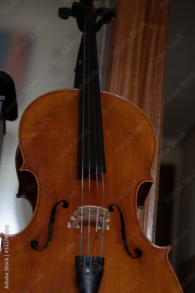 holding a wooden cello for an orchestra holding a wooden cello for an orchestra
