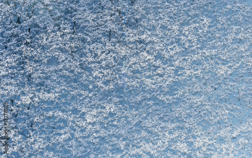 snow background board