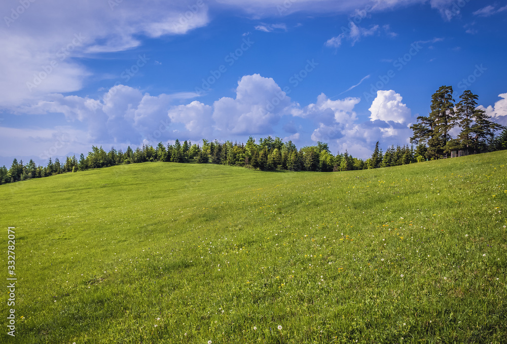 Mountain meadow in Klastorisko area in Slovak Paradise park in Slovakia