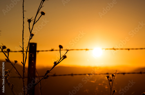Barbed wire at sunrise