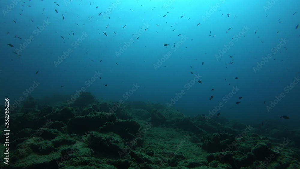 Fototapeta premium Underwater Scene Background, Diving