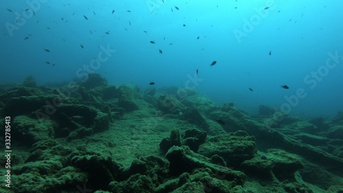 Beautiful Scenery in the Blue Sea  Underwater Ambience