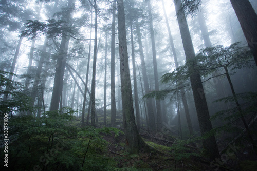 British Columbia Summer 