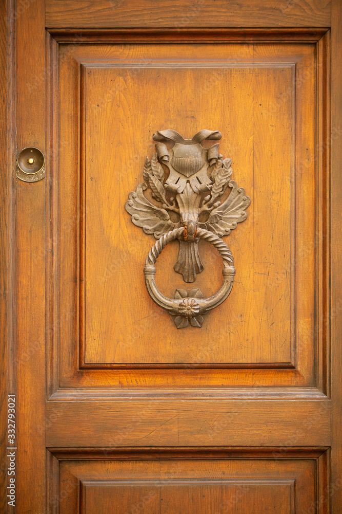 Timber door and ornate metal door knocker