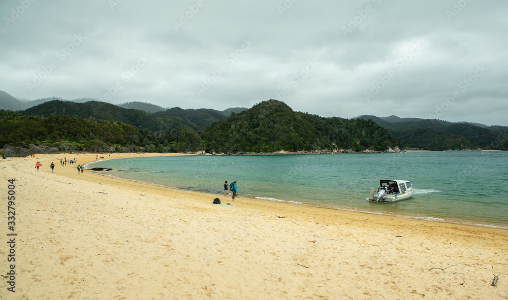 People walking on beach next to forest at Anchorage Bay in Abel Tasman New Zealand