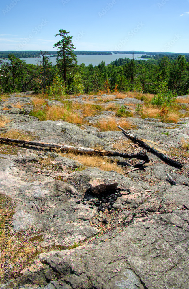 Obraz premium in the woods