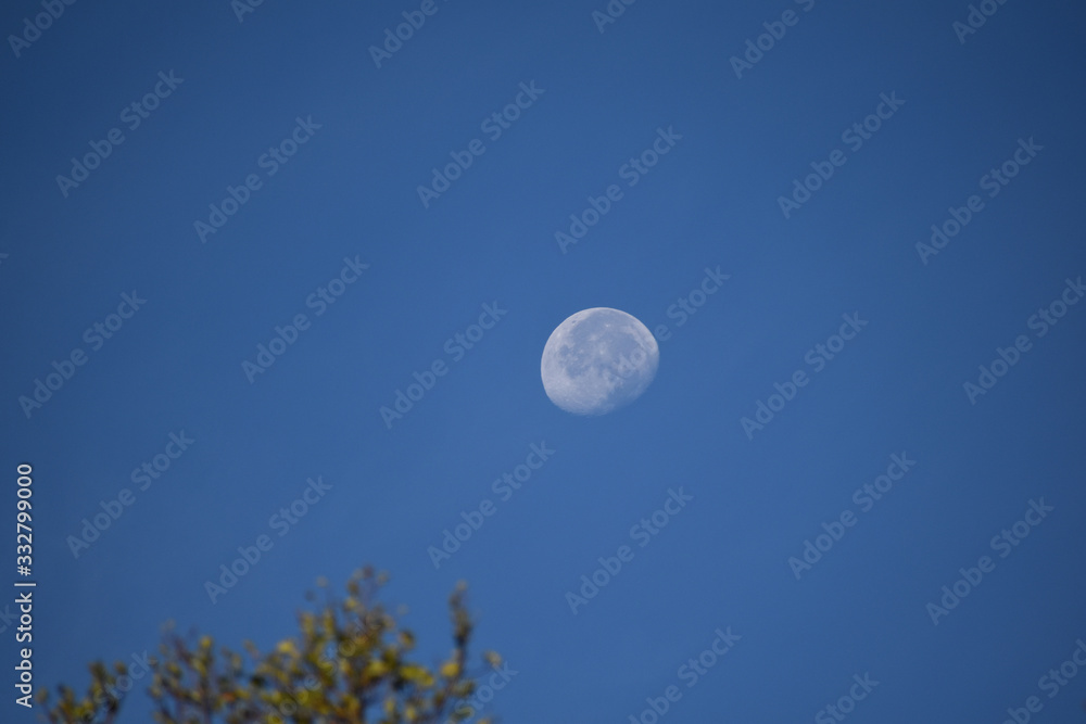 moon in the sky moon in the sky
