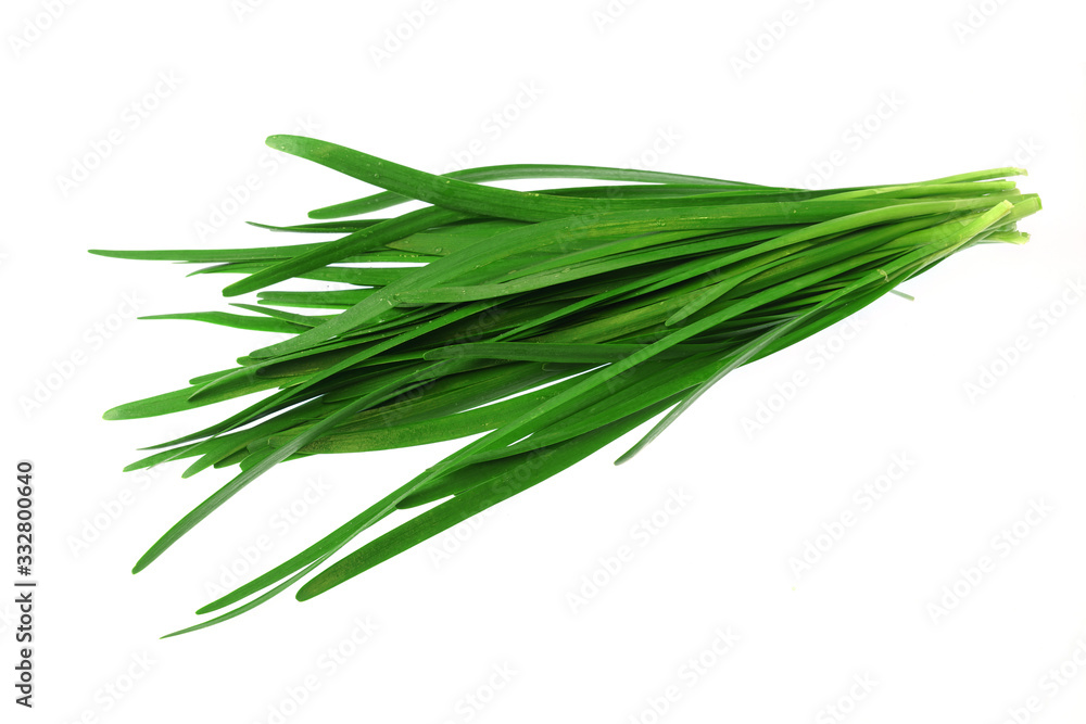 close up fresh chives isolated on white background close up fresh chives isolated on white background