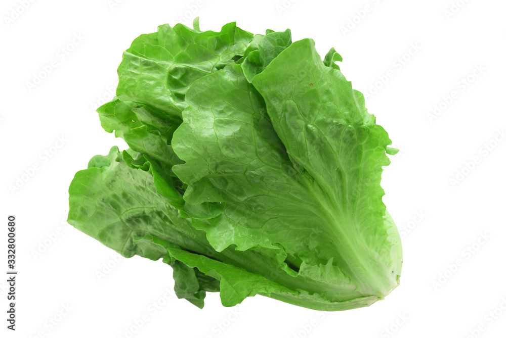 close up on fresh green lettuce texture - obrazy, fototapety, plakaty 