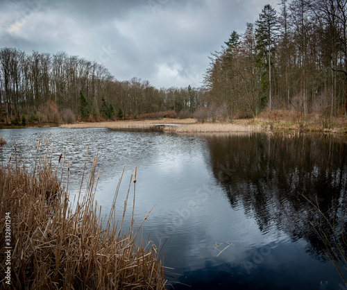 Fototapeta Naklejka Na Ścianę i Meble -  An artificial lake built in the middle of the forest as a water retention reservoir in the early spring