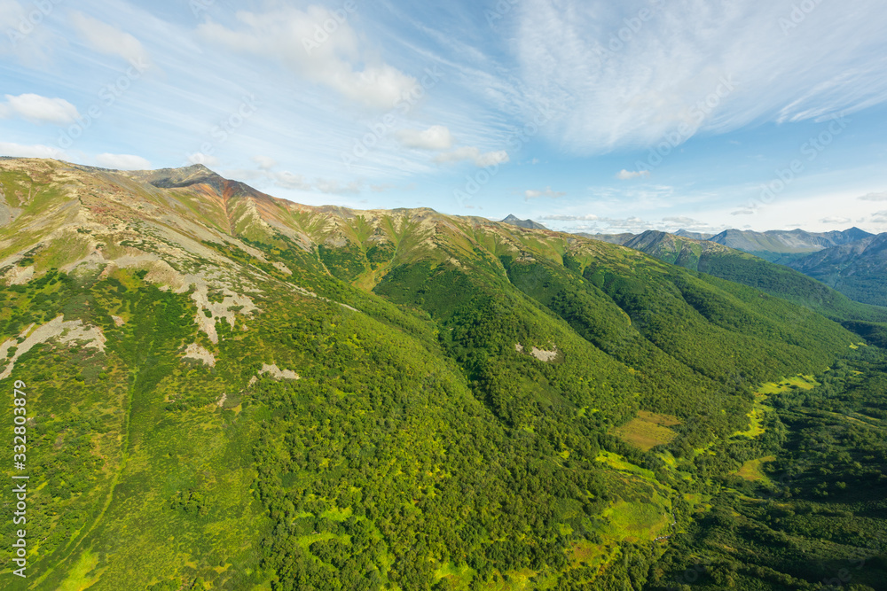 aerial view of Kamchatka volcanos, green valleys, snow and ice and the wonderful view of pure nature.