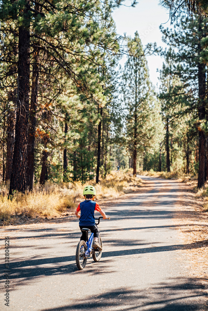 Boy bicycling down path in pine forest Boy bicycling down path in pine forest