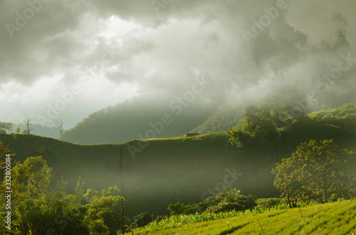 Mountains with trees in light under thick fog