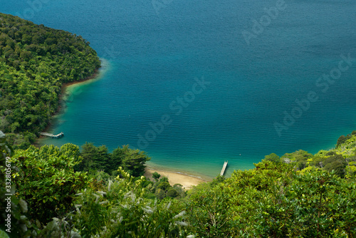 Sea and trees at beach on Queen Charlotte track in Marlborough New Zealand