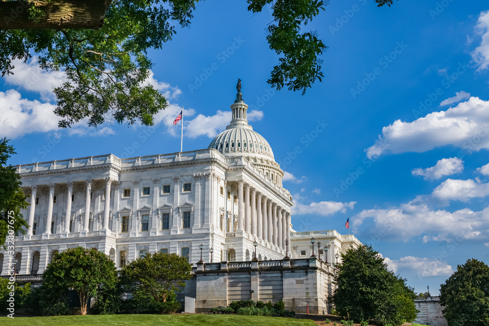 Obraz premium US Capitol Building in Washington DC