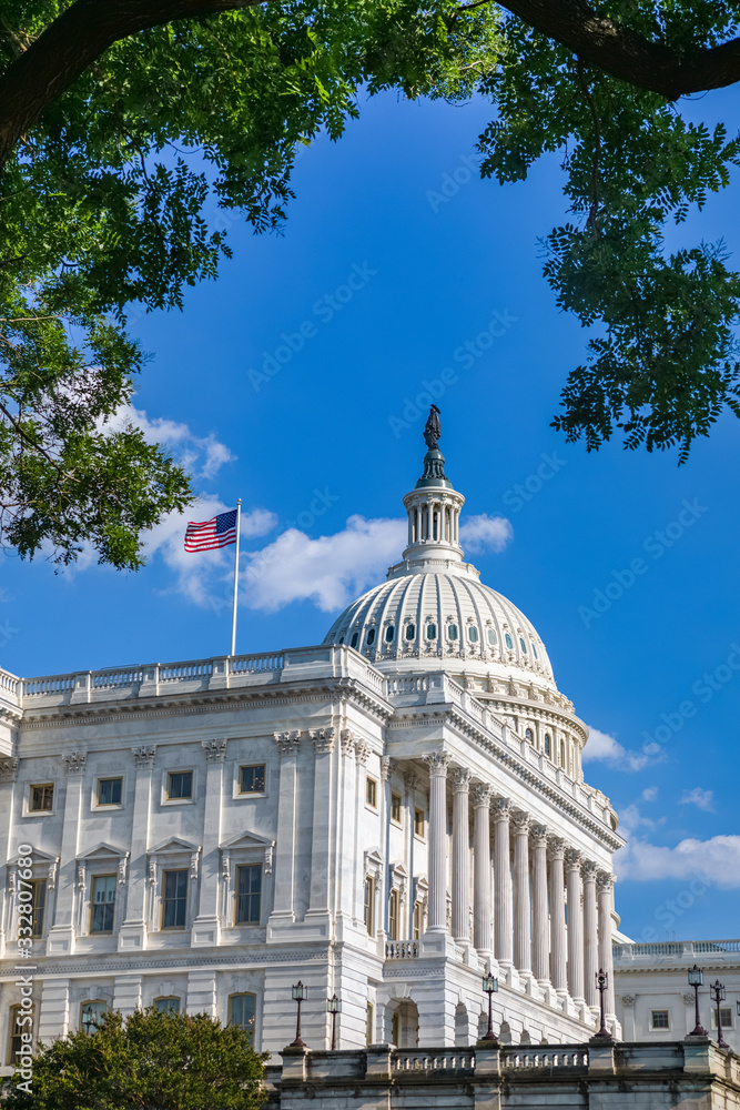 Obraz premium US Capitol Building in Washington DC