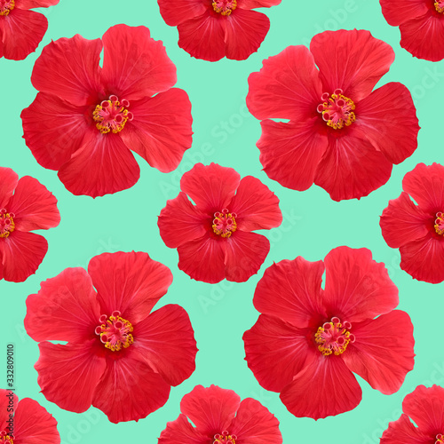 Hibiscus. Illustration, texture of flowers. Seamless pattern for continuous replication. Floral background, photo collage for textile, cotton fabric. For use in wallpaper, covers