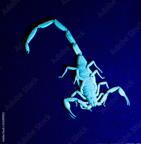 UV Scorpion