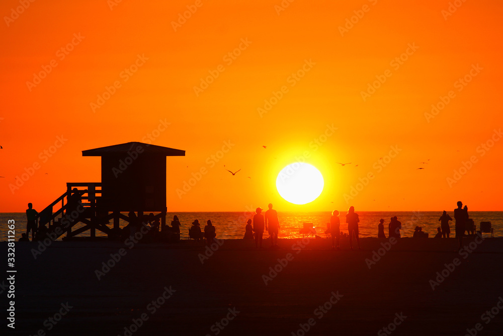 Siesta Lifeguard