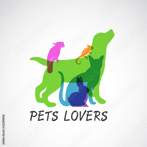 Vector group of pets - Dog, cat, parrot, chameleon, rabbit,  isolated on white background, Vector pets for your design. Animal group.