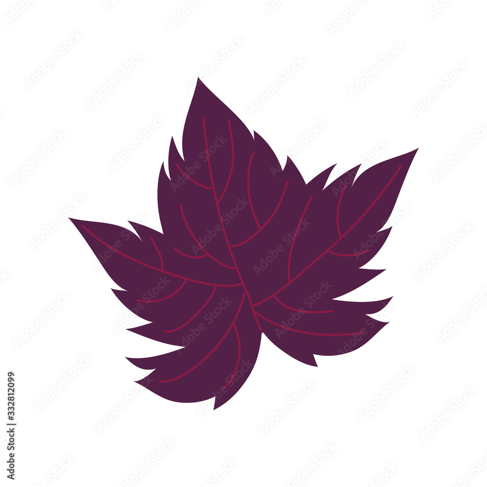 grape plant leaf nature icon