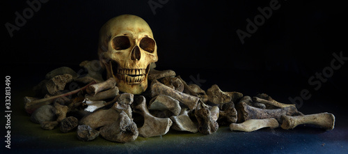 Картината върху платно The skull on pile of bone on black background