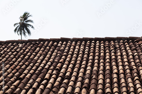 Tiled roof with flowers and palm tree.