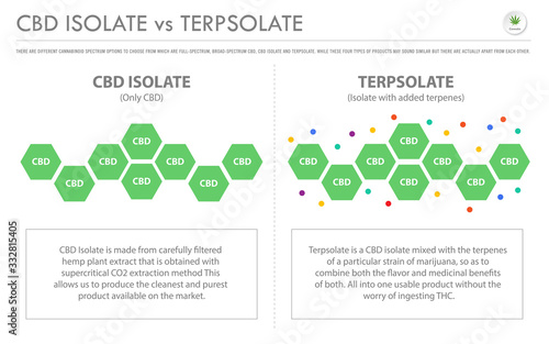 CBD Isolate vs Terpsolate horizontal business infographic illustration about cannabis as herbal alternative medicine and chemical therapy, healthcare and medical vector.