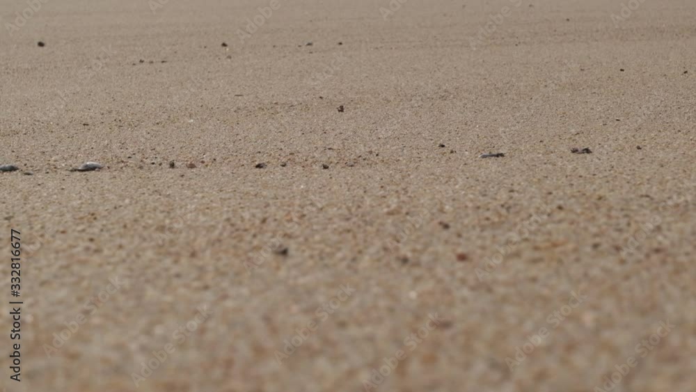Sand and seashells on the beach, shallow depth of field. Slow motion pan up. Blurred waves lapping on shore in background. Sand and seashells on the beach, shallow depth of field. Slow motion pan up. Blurred waves lapping on shore in background.