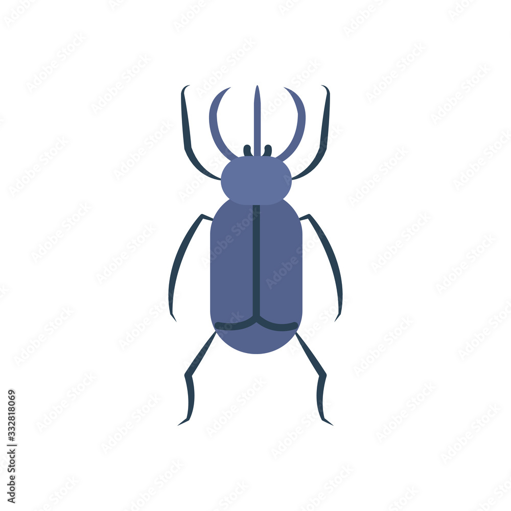 beetle insect icon over white background, flat style beetle insect icon over white background, flat style