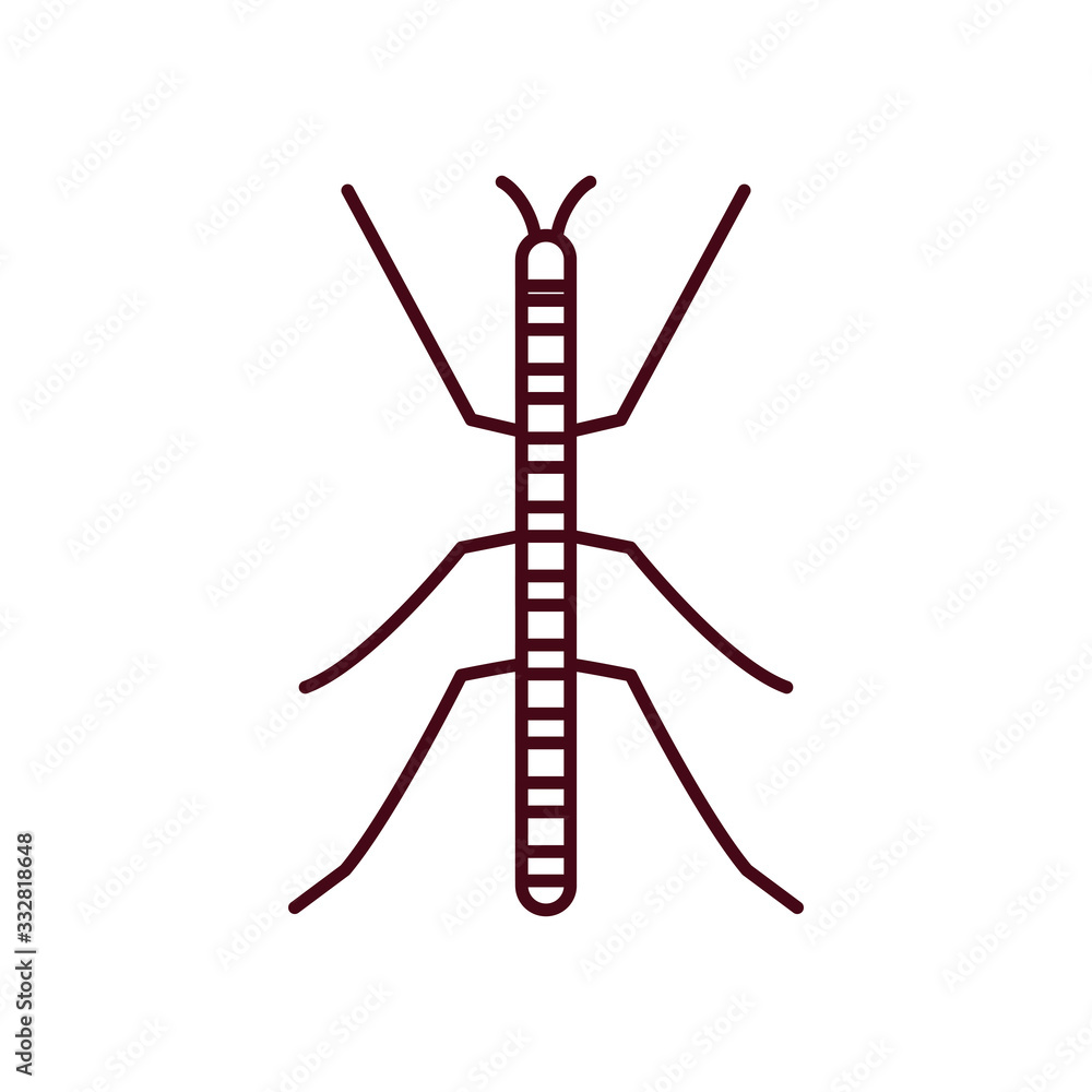 stick insect icon, line style