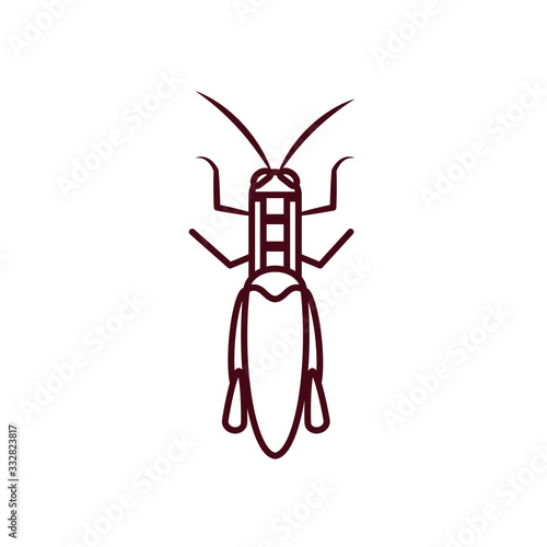 leaf cricket insect icon  line style