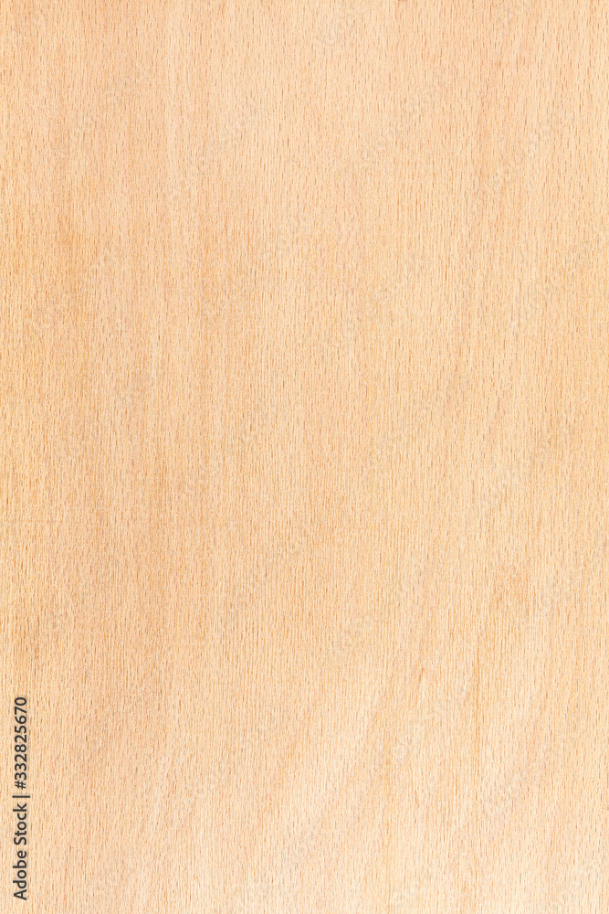 beech wood natural pattern. highdetailed wood texture series Stock Photo Adobe Stock