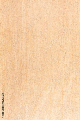 Fotografi beech wood natural pattern. high-detailed wood texture series