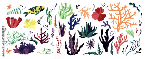Underwater sea world dwellers, flora and fauna elements. Algae, coral reef, kelp. Vector cartoon illustration.	