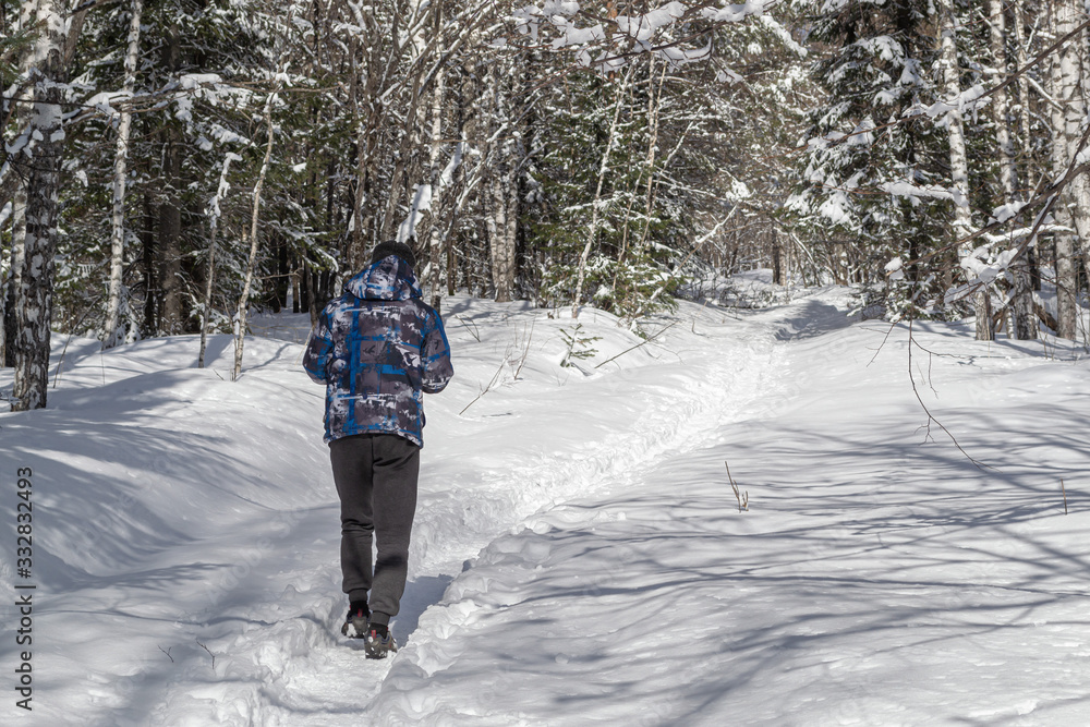 Hiker walks along on snowy trail in winter forest. Ural, Russia