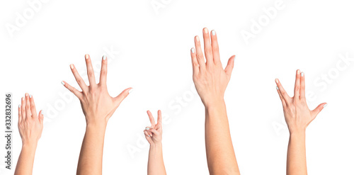 set of   female  hands   isolated on white background- Image