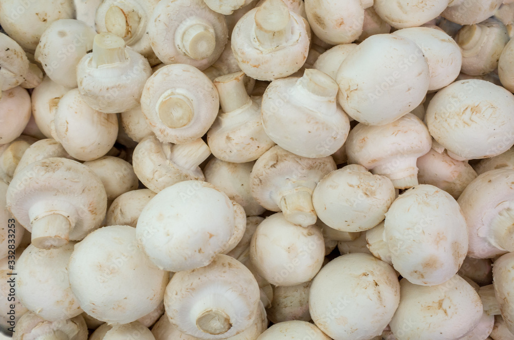 A lot of champignon mushrooms. View from above. A lot of champignon mushrooms. View from above.