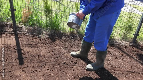 Unrecognizable man spread sow grass on fertile soil in apartment yard. Handheld