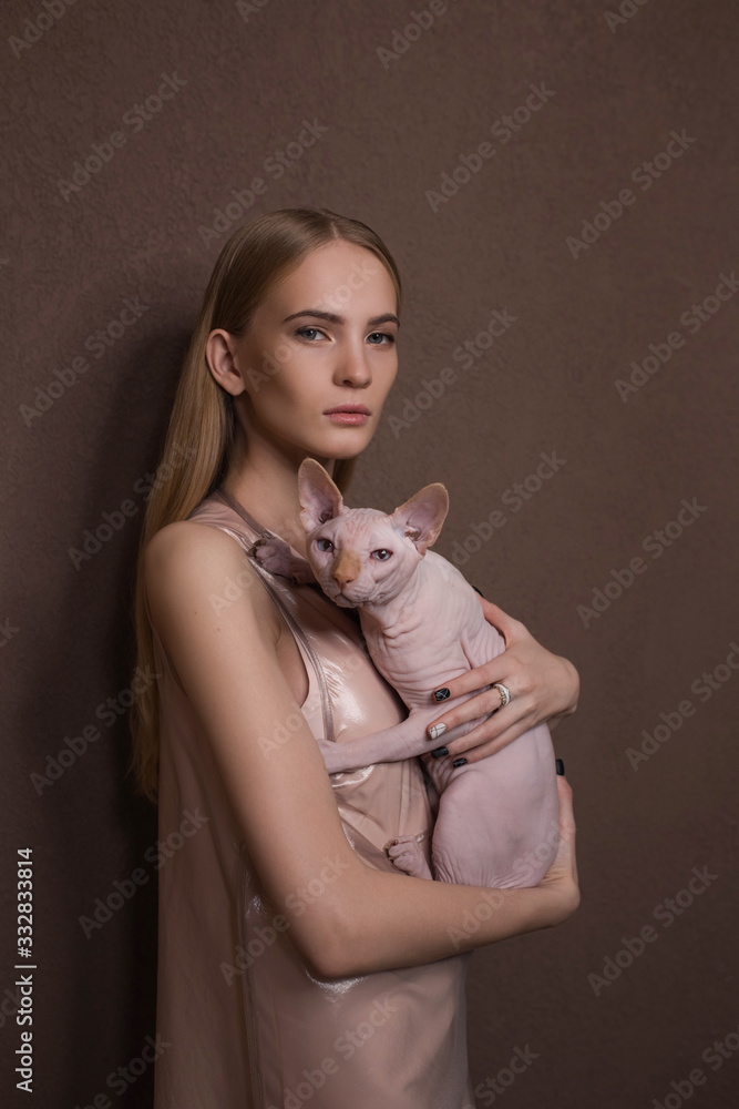 girl with cat Felis catus sphinx girl with cat Felis catus sphinx