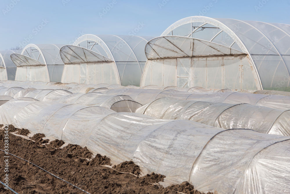 tunnel low greenhouses and large greenhouses stand in rows on farmland, industrial cultivation of early vegetables tunnel low greenhouses and large greenhouses stand in rows on farmland, industrial cultivation of early vegetables