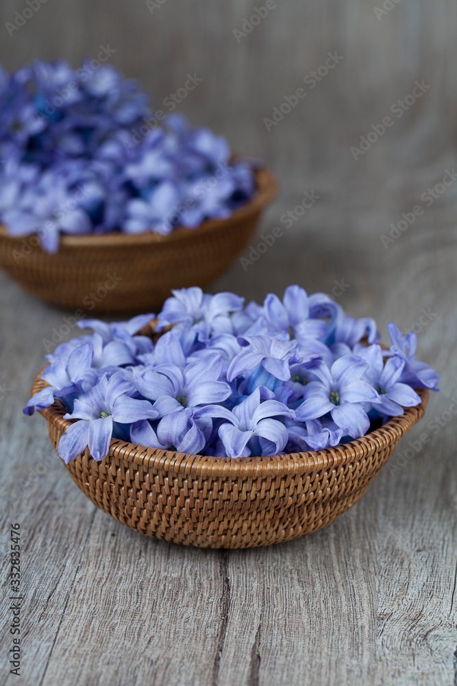 Still Life With Little Blue Flowers Still Life With Little Blue Flowers