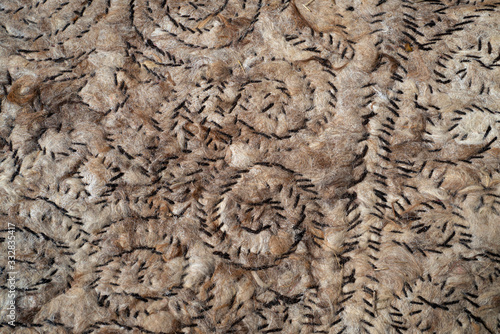 The texture of the wool,