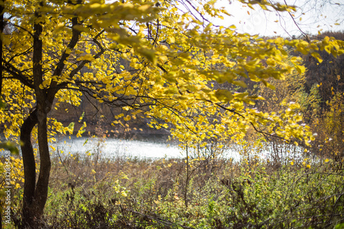 autumn landscape at the reservoir