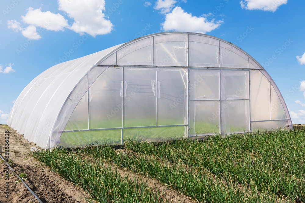 a large greenhouse stands on farmland against a blue sky with clouds, early growing vegetables